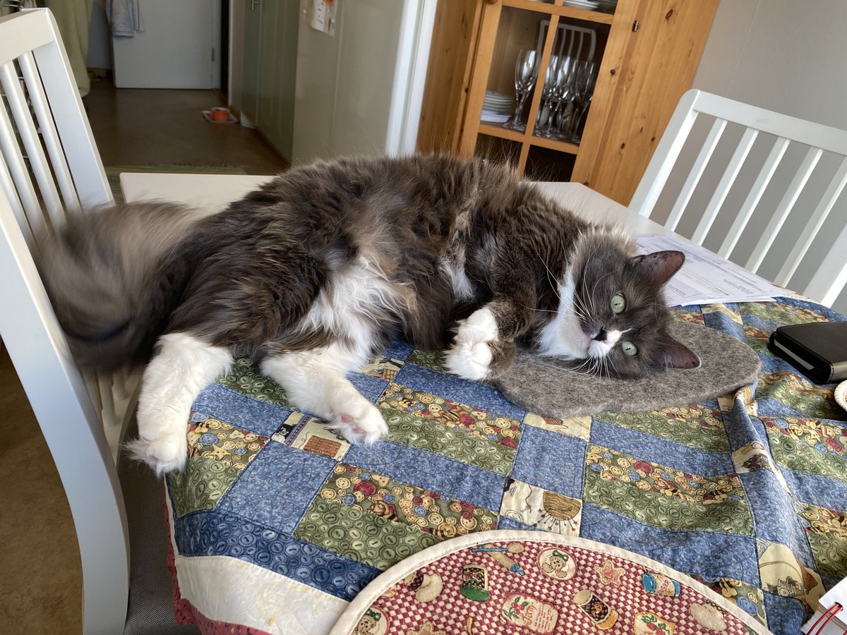 Good Morning Tweepz And Shippers #ship30for30 🚢 

Breakfast company ❤️