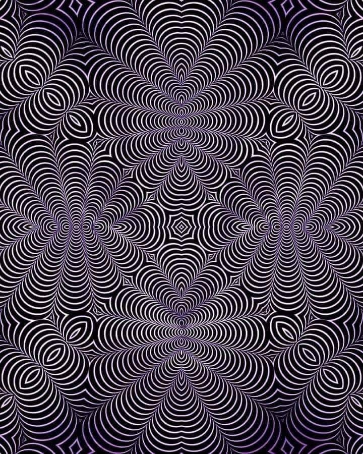 LeContempIateur's tweet image. Que voyez-vous ?