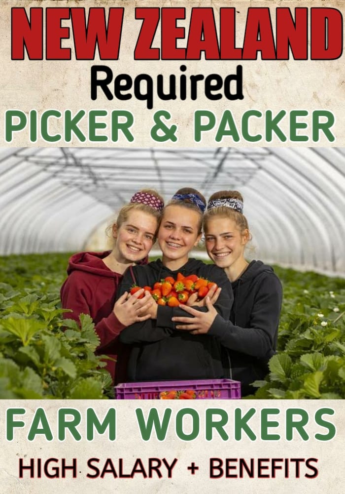 EpaperJobz's tweet photo. Pick Packer jobs in NEW ZEALAND
How To Apply 📷 https://t.co/sjxnSGlg3b

Factory Workers 📷 https://t.co/HxCa2gLt75
Both Males &amp; Female Can Apply
GOLDEN CHANCE FOR INTERESTED CANDIDATES
More Jobs: https://t.co/cOmxHLmvu1 https://t.co/0TMrozGDmh