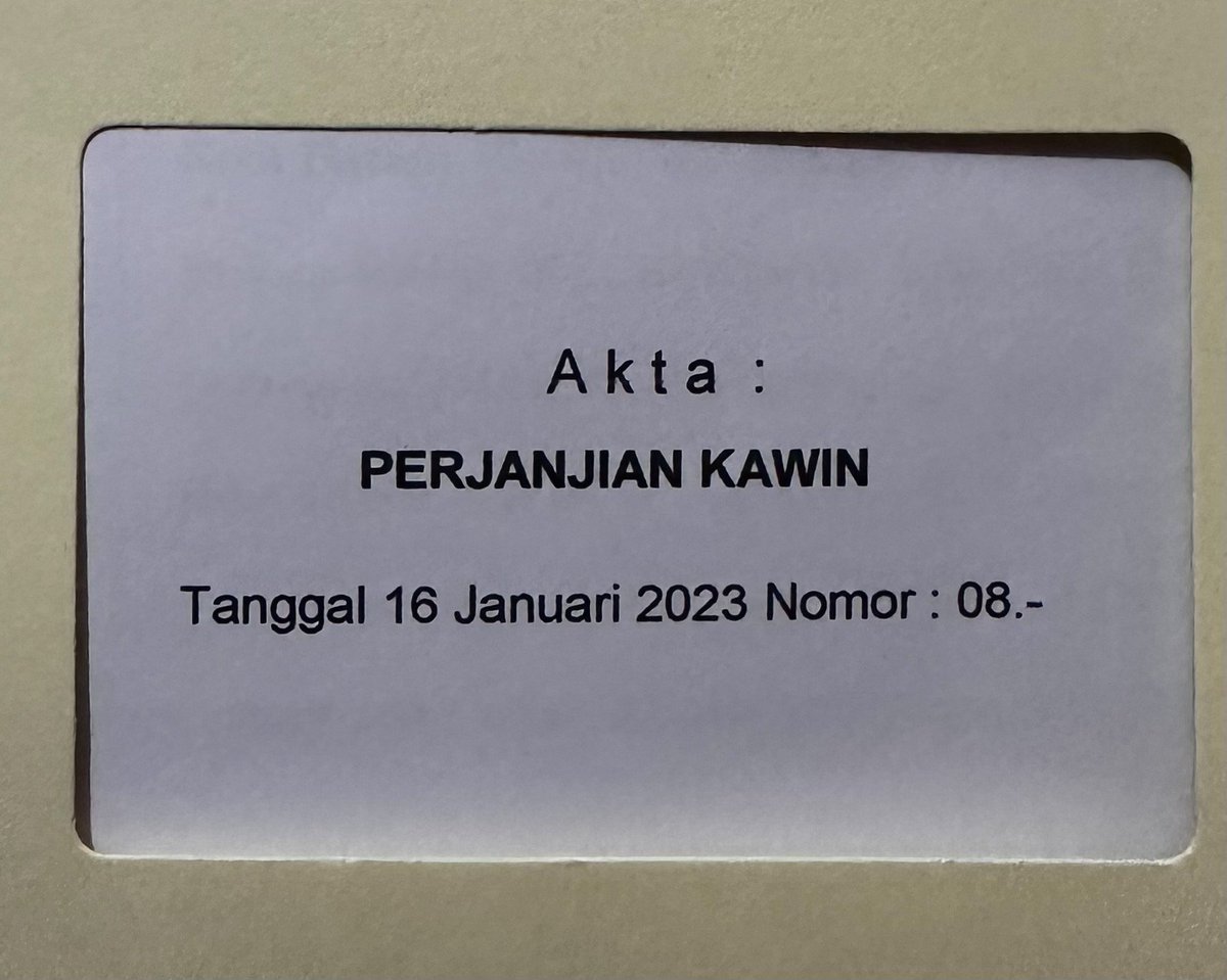 Menikah memanglah sejudi-judinya pilihan hidup. Kamu bisa kurangi resiko menikah dengan prenup (perjanjian pra nikah).

Isinya kurleb gini:

1. Harta pisah
2. Kewajiban suami (termasuk setelah cerai)
3. Denda perselingkuhan
4. Kewajiban ortu kepada anak (termasuk setelah cerai)