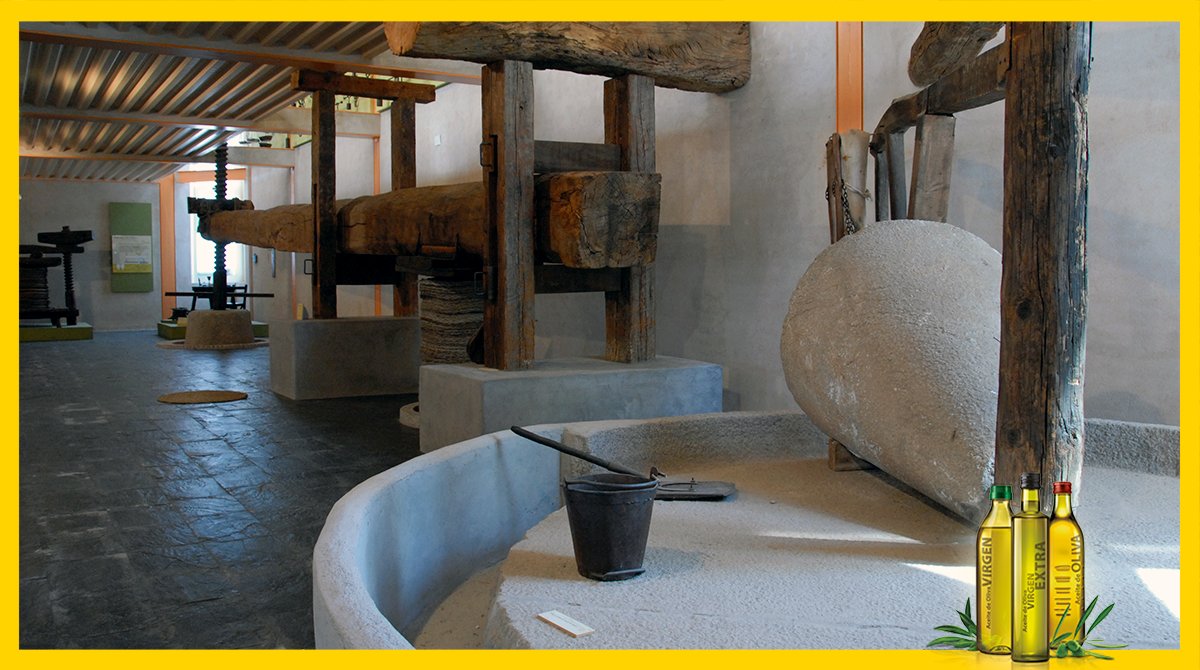 AceitesOlivaES's tweet photo. ¡Empápate de la cultura de los aceites de oliva en las decenas de Museos que hay por todo el país!  #DíadelosMuseos 
#AceitesDeOlivaDeEspaña #ParaTodaUnaVida #PorAlgoSerá #ElPaísMásSaludable https://t.co/AQXY5nJIAf