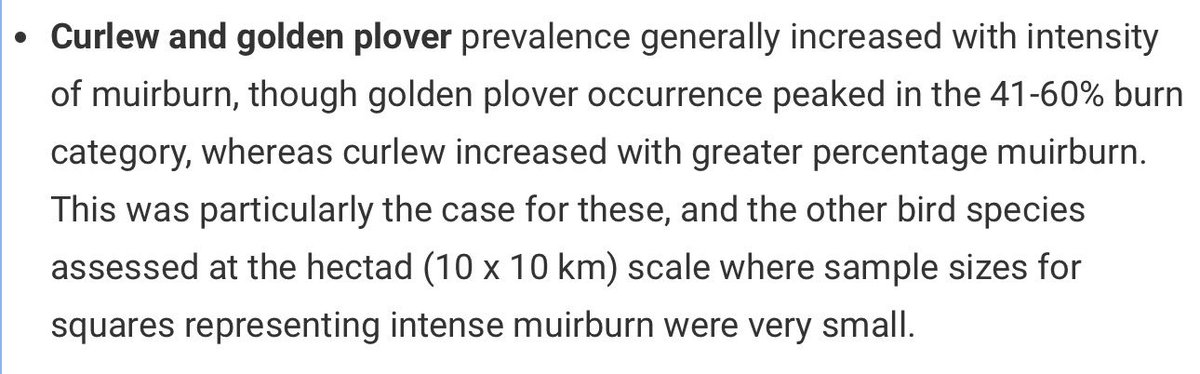 Why do #Curlew choose to nest in recently burned heather? Statistically, it is proven but why a preference for this habitat above other moorland habitats? Photos from Perthshire trail cam. #wildlife #nature #biodiversity