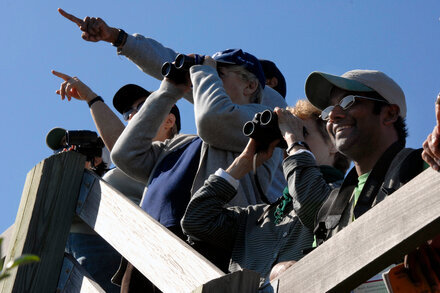 "Go Birding With The Times" by Unknown Author via NYT ift.tt/hweDYFz #science