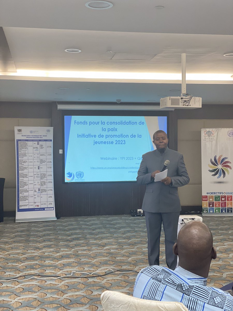 PeacebuildingFund_Niger tweet media