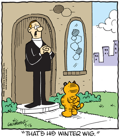 its_heathcliff's tweet photo. Here's Heathcliff! https://t.co/vixLPNECPD