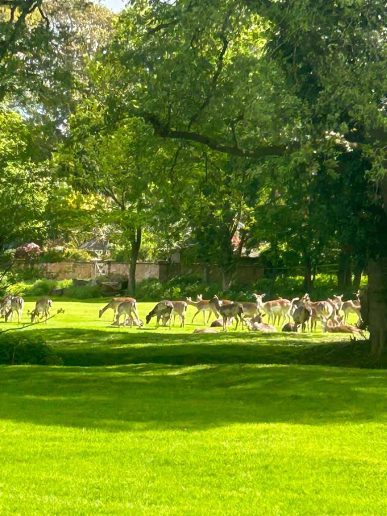 Brocton Hall Golf Club tweet media