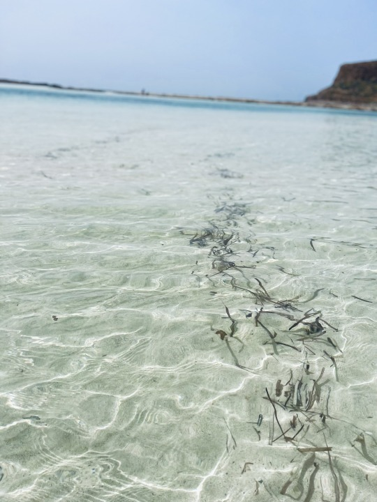 FSimunde's tweet photo. D’estate le mani del vento muovono invisibili fili nell’aria, che uniscono le onde, i capelli, i pensieri.

(Fabrizio Caramagna) https://t.co/Jdsy5nbuSl