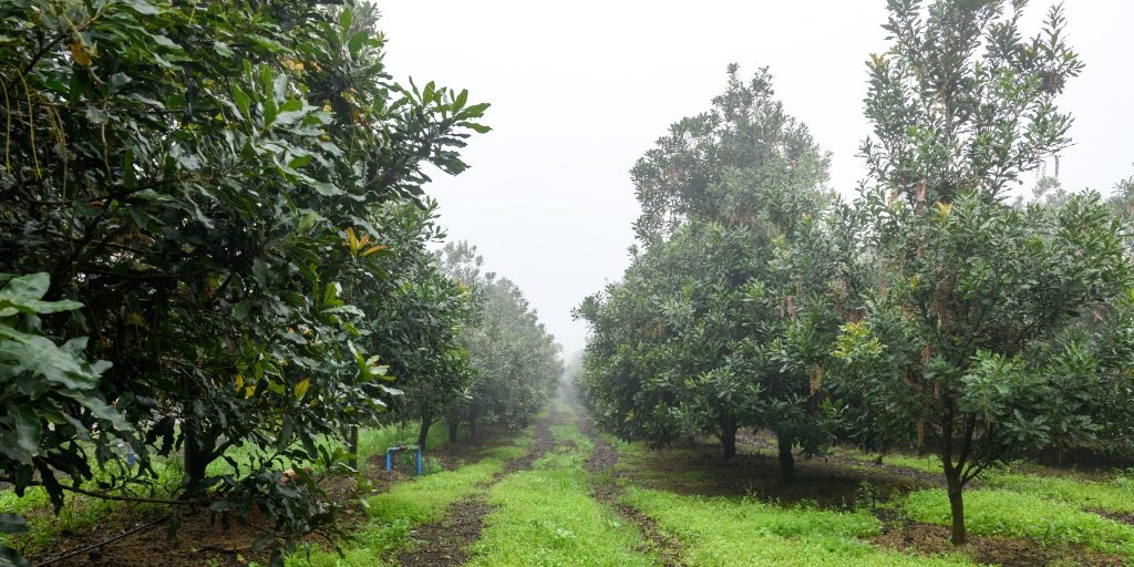 infosouthcoast's tweet photo. Invest in the #kznsouthcoast, a leading #investment #destination in #realeastate, #agribusiness, etc. #sctie assists #investors in uncovering hidden gems & #buylocal. Read more here: https://t.co/BaWpt3cMtJ #unlimitedopportunities https://t.co/PHG9NjyKLI