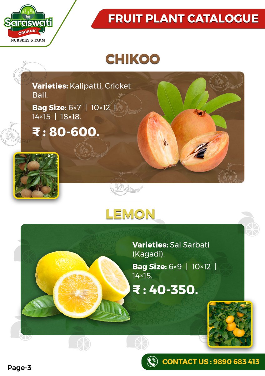 Our premium lemon and Chikoo saplings, now available for sale at our fruit plant nursery, will add zesty citrus lemon and sweet Chikoo flavour to your garden. Purchase yours today and start growing your own tasty fruits in your own garden!
.
Contact- +91 9890683413
.
#fruitplants
