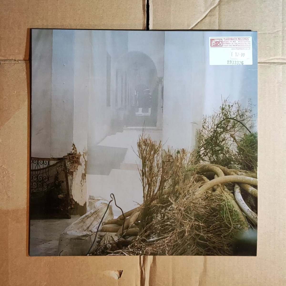 flashbacklondon's tweet photo. Available in-store and online at https://t.co/LI0FO64BLD

#newreleases #newmusic #newalbum #leftfield #sza #paulsimon #omkalsoum #oyamao #thelemonheads #recordshop #recordstore #recordcollector #newvinyl #vinyl #flashback #flashbackrecords https://t.co/M5rOxSkxfz