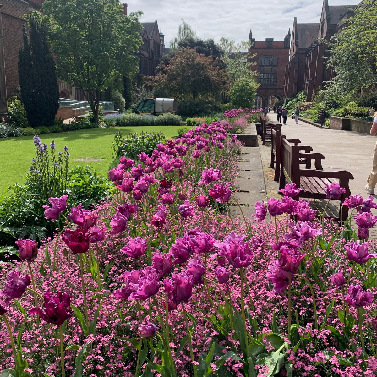 Our beautiful campus @UniofNewcastle 💜🌷#mynclpics #springtime #tulips