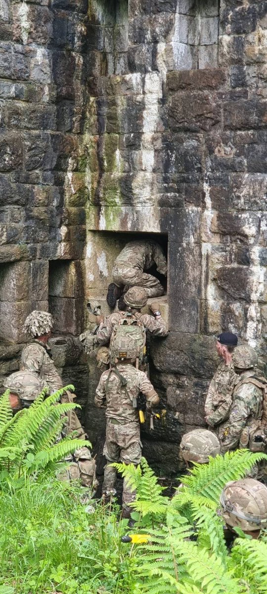 The R Mon RE (M) tweet media