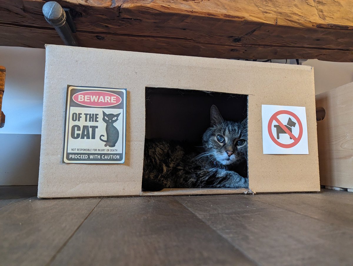 zipper_x's tweet photo. @ShouldHaveCat https://t.co/8cswp0wIDw
