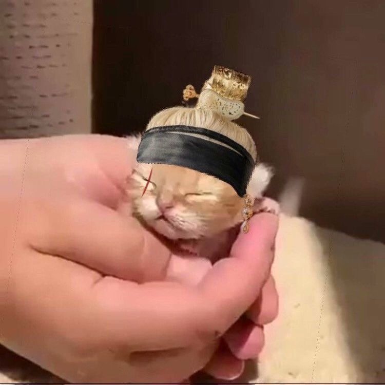 Мини версия Мин Юнги 😁💍