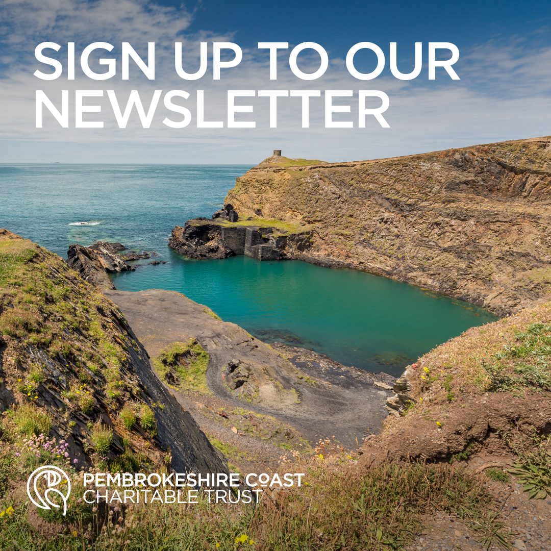 If you care about Pembrokeshire and would like to hear our latest news, receive priority event invites and much more, sign up to our newsletter today - pembrokeshirecoasttrust.wales/get-in-touch/

Please like and share to help us spread the word!
#pembrokeshire #conservation #news #events