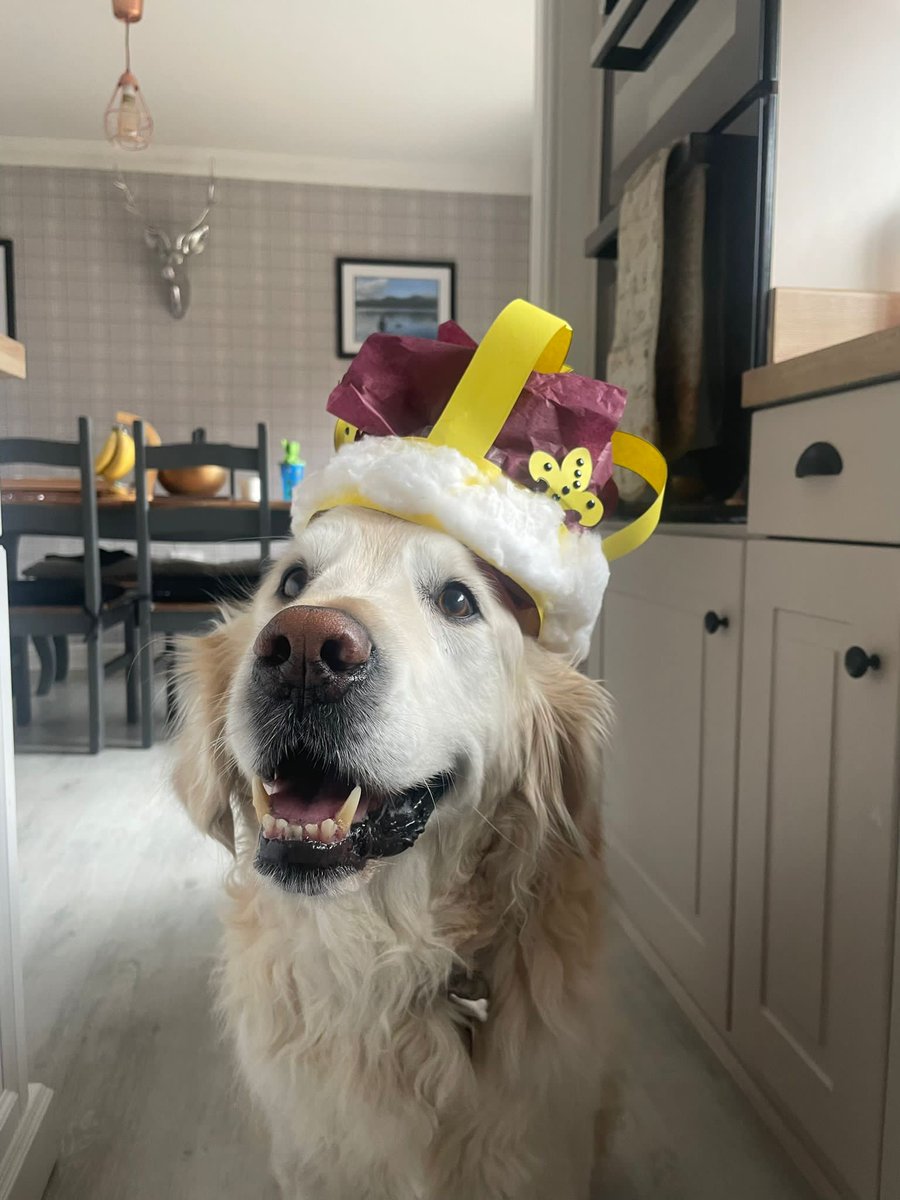 Winner of the Coronation Photo Competition !! Molly Hayes aged 8 from Chorley!! with her photograph of Bruce the golden retriever wearing his very regal crown!! Molly has a won an Amazon voucher - runner ups will also be posted. @lycservice #youngcarers #cutedogs #Barnardos