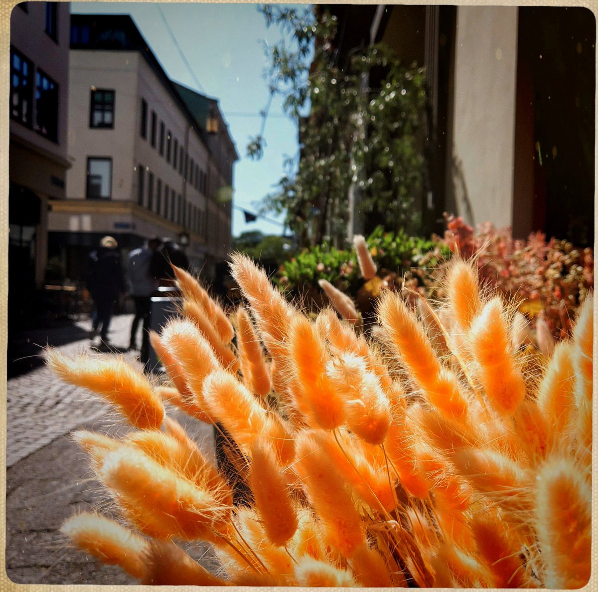 anthonyhunter69's tweet photo. Some more #kultcamera app pictures from yesterday 🙂
@Nokia @NokiaMobile @HMDGlobal @TheLightCo @teampureview @NokiamobBlog #nokia #nokia9 #photography #phoneography #5lenses #fivelenses #göteborg #capturedbylight #shotonnokia #nokiamobile @goteborgcom #city #kultcameraapp #gbg https://t.co/bkpap8oSQc