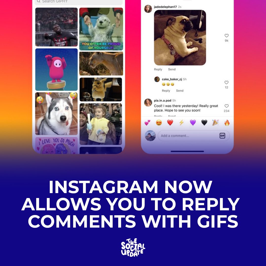 createmore_club's tweet photo. You can now Comment with Gifs on Instagram https://t.co/WaCGMMGN2S