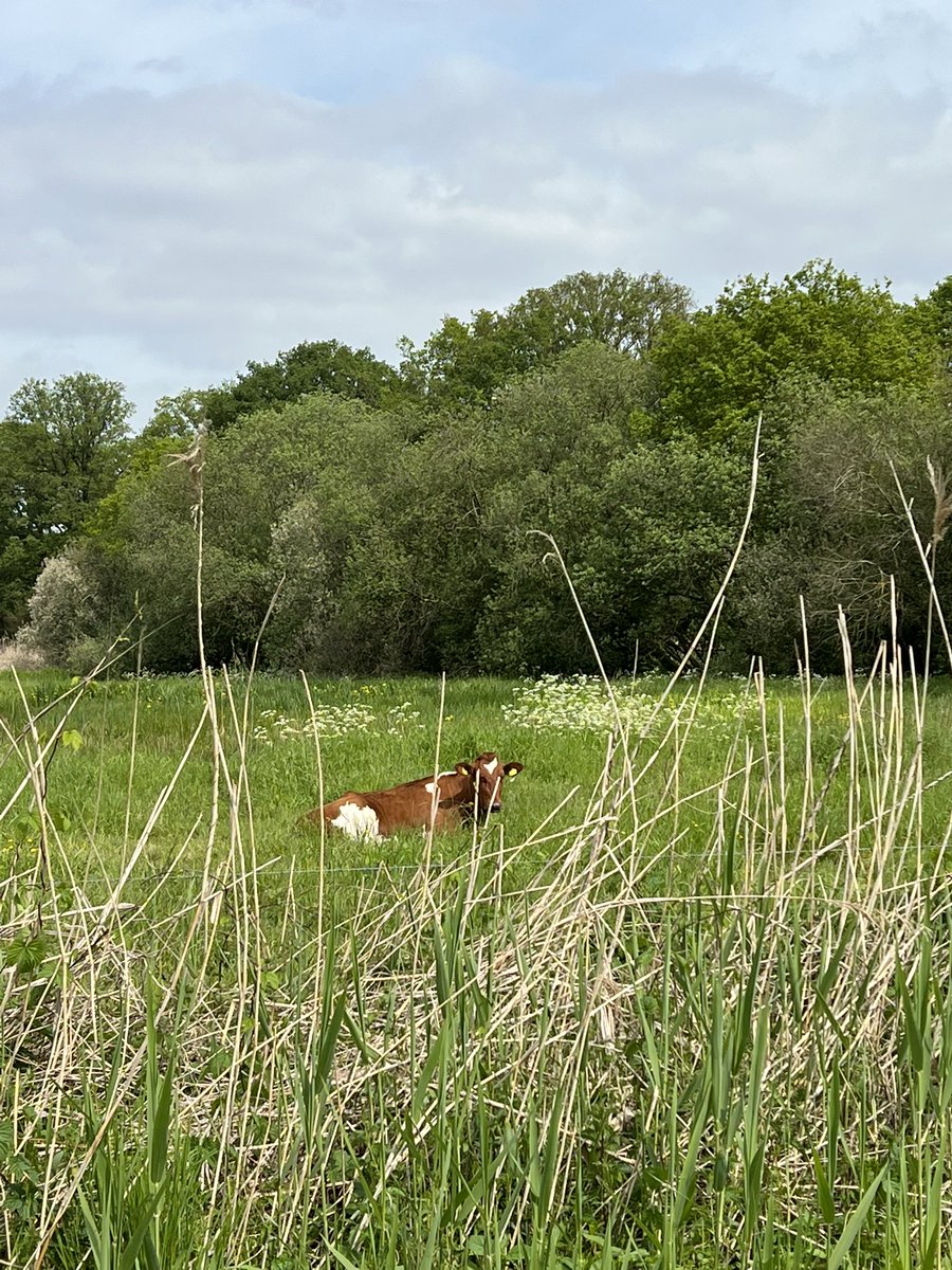 Waar ben ik nu? Verrassend gebied. Prachtig!