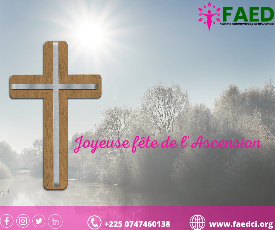 ONG Femme Autonome Espoir de Demain- FAED tweet media