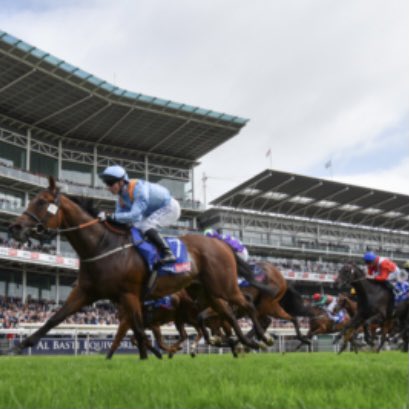 🏇🏻🏆 Free Tips At York 🏆🏇🏻

🏇🏻Designer - 9/2
⏱1:50
💷2pt Win

🏇🏻Northern Express - 6/1
🏇🏻Master Richard - 20/1
⏱3:00
💷Both 2pt Ew (6)

🏇🏻Changeofmind - 4/1
⏱4:10
💷2pt Win

🏇🏻Hope You Can Run - 40/1
⏱5:20
💷1pt Ew (4)

#York 🇬🇧

#DanteMeeting 🏆

#HorseRacing 🏇🏻