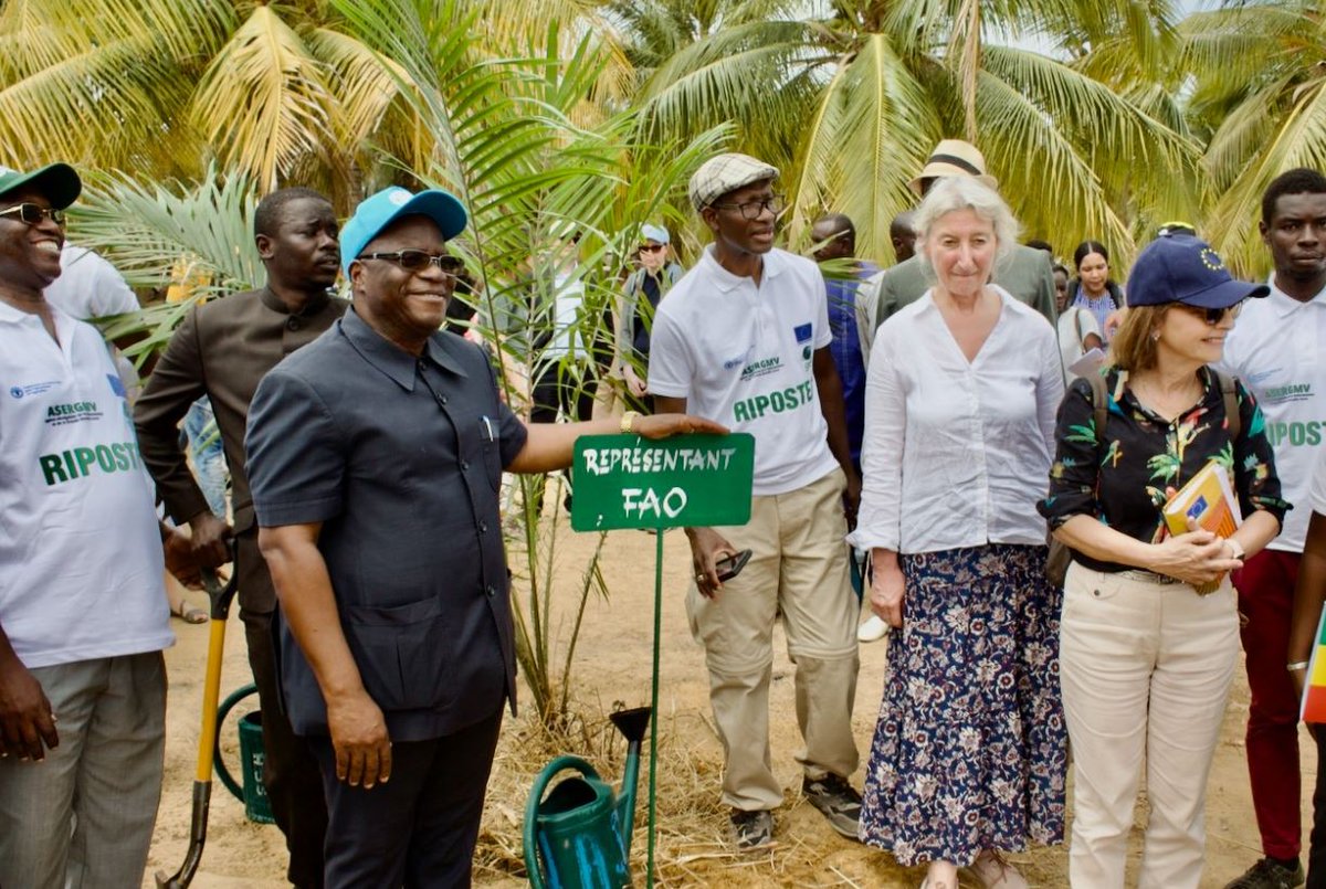FAOBrussels's tweet image. Excellent cooperation here in Brussels with @EP_Development for this successful visit at the EU #RIPOSTES project of the Great Green Wall.

A truly fruitful collaboration between @FAOSenegal &amp;amp; @UEauSenegal to halt desertification 🌱in Africa.