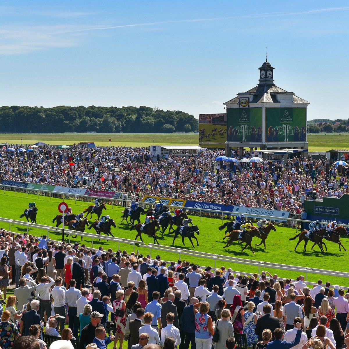 💷 If Assessment &amp; Cuban Thunder both win at York today I’ll give one of you £100 in CASH! 

YES £100!

To Enter ⬇️

1️⃣ RT this Tweet 🔄
2️⃣ Like this Tweet ❤️ 
3️⃣ Follow <a href="/BenBeard2/">Ben Beard</a> 

FREE DAILY TIPS here - t.me/+oVnsSZNPnN05Z…

YOU MUST follow the account!

#HorseRacing