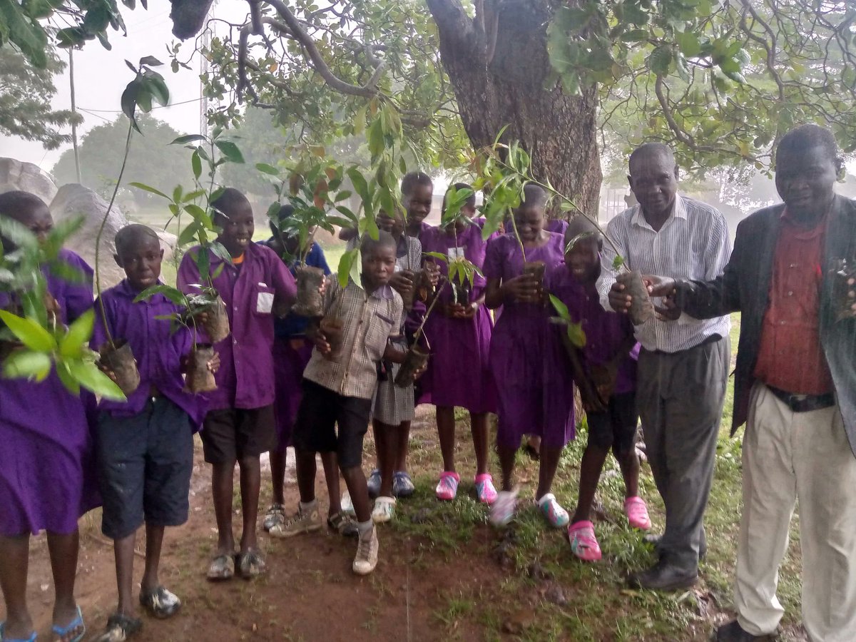 The Great Imagining (@greatimagining) on Twitter photo A quick shout-out to our partners at <a href="/ayowecca_uganda/">AYOWECCA UGANDA.</a> whose #agroforestry project in Tororo continues to bolster the local #environment and provide educational spaces for women and children in the community A quick shout-out to our partners at <a href="/ayowecca_uganda/">AYOWECCA UGANDA.</a> whose #agroforestry project in Tororo continues to bolster the local #environment and provide educational spaces for women and children in the community