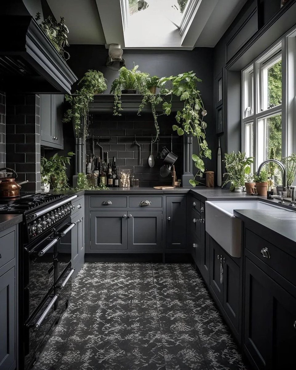 poeticalphotos's tweet photo. black and green https://t.co/6GqeqakDVp