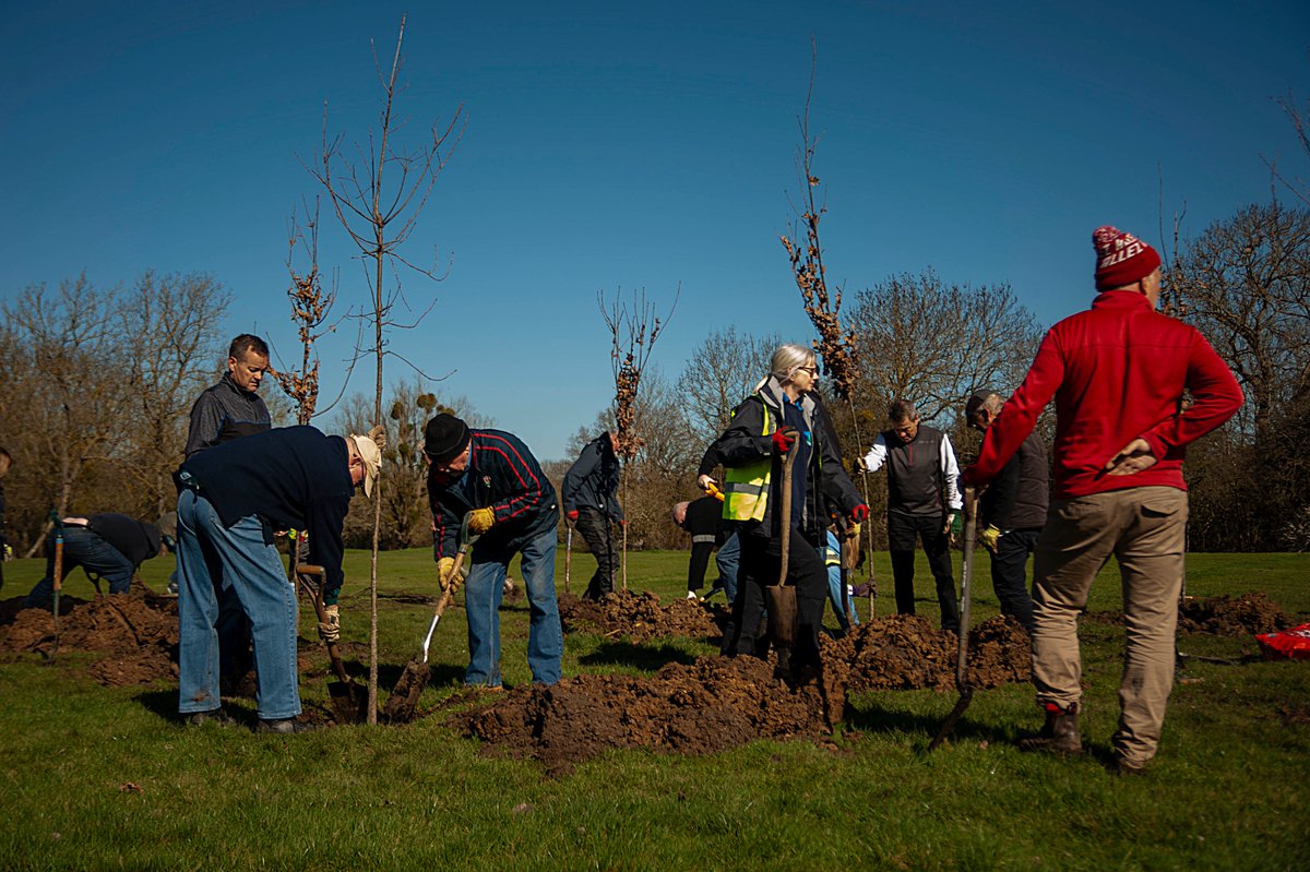 Wow! 321 standard trees planted in under 3 hours! Read all about our recent tree planting project in collaboration with Upminster Golf Club on our website: thameschase.org.uk/.../upminster-… #thameschase #upminster #treesforclimate @CommForests  Photos by: Paul Vine