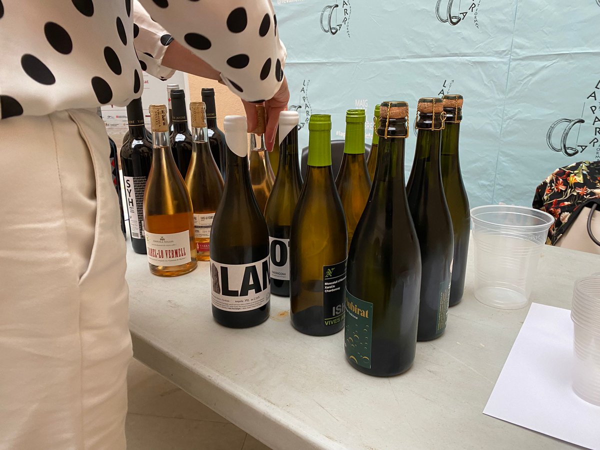 🍇🍷 En el marc del cicle La Parra, hem presentat La Ruta del Vi de la @DOTarragona i hem gaudit amb un excel·lent tast de vins quilòmetre zero amb el guiatge i mestratge de l'Elisa Ribé i l'@angelscollado. 

Gràcies!

#InstitutEstudisVallencs #IEV #LaParra2023