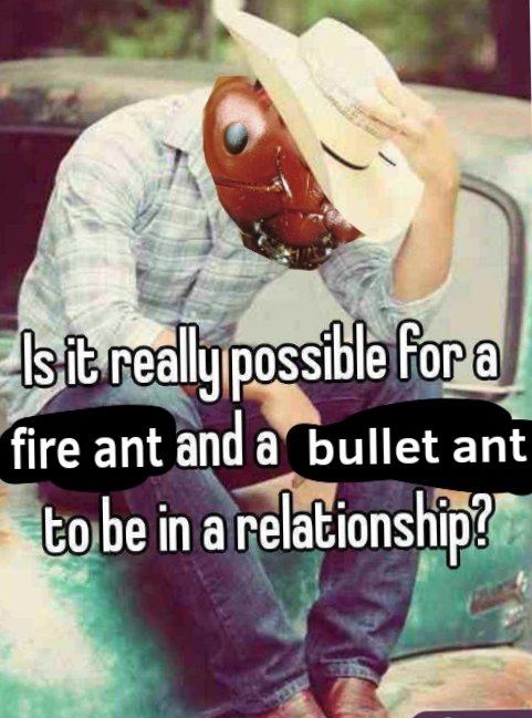 AntPosting (@antpositing) on Twitter photo 