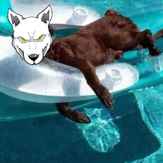 VoltInuOfficial's tweet photo. Volted pool party! 

The first #VOLTIECO pool will open today⚡️ https://t.co/TAKbrtTelC