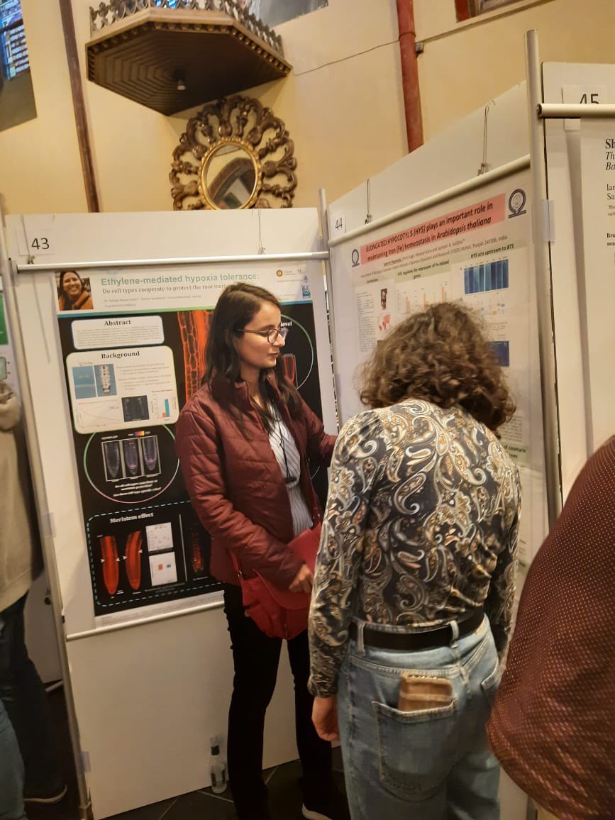 Santosh Satbhai (@santosh7bhai) on Twitter photo <a href="/SamritiMankotia/">Samriti Mankotia</a> presented a poster yesterday in 10th International Symposium on Root Development meeting #Rooting2023 at @PSB_VIB Ghent (Belgium). Thanks to all organisers and <a href="/DBTIndia/">Department of Biotechnology</a> for the travel support. <a href="/IiserMohali/">IISER Mohali</a> <a href="/DBS_IISERM/">Dept. of Biological Sciences (DBS), IISER Mohali</a> <a href="/sbslab_IISERM/">SBS Lab</a> <a href="/SamritiMankotia/">Samriti Mankotia</a> presented a poster yesterday in 10th International Symposium on Root Development meeting #Rooting2023 at @PSB_VIB Ghent (Belgium). Thanks to all organisers and <a href="/DBTIndia/">Department of Biotechnology</a> for the travel support. <a href="/IiserMohali/">IISER Mohali</a> <a href="/DBS_IISERM/">Dept. of Biological Sciences (DBS), IISER Mohali</a> <a href="/sbslab_IISERM/">SBS Lab</a>