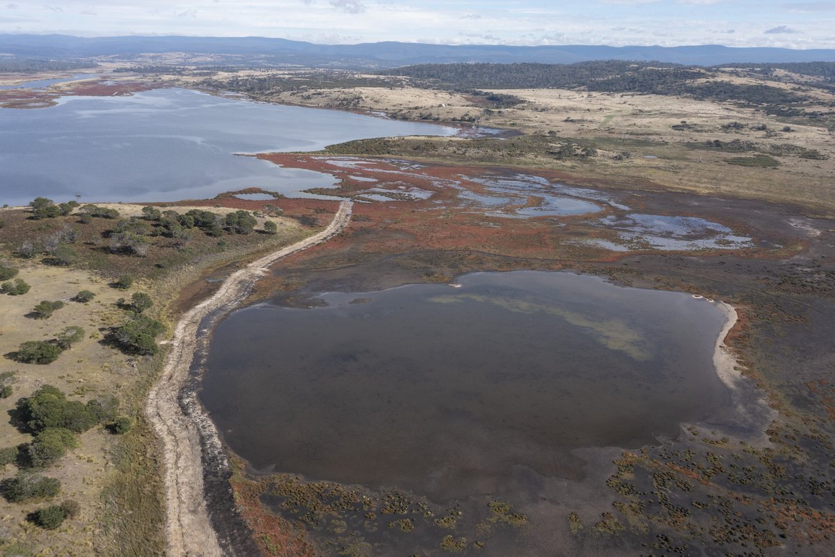 Tas_Land's tweet photo. In #March, multiple #excavators removed levees & drains at our Long Point Reserve, some built by #convicts in the 1880s, others as late as the 1990s.
In early May TLC planned out where the #reveg would happen.
Read the full story: https://t.co/kxpBtytHaX https://t.co/JvLQOZavYo