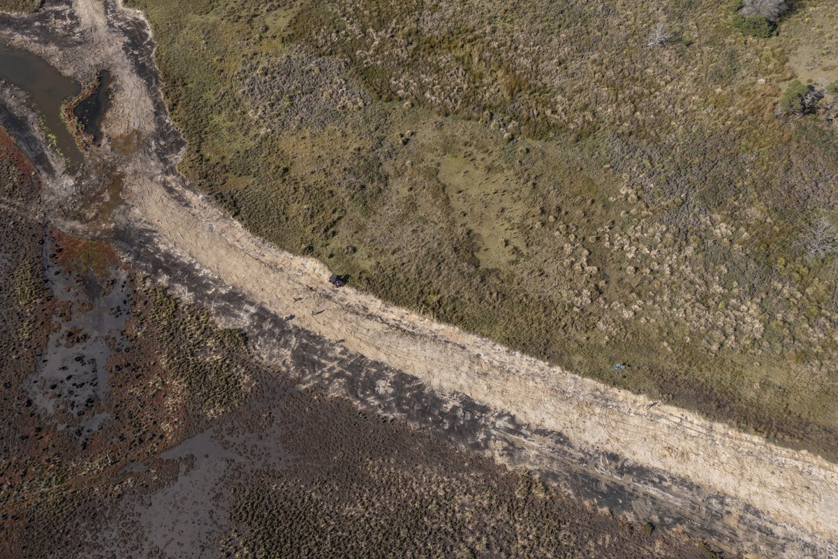 Tas_Land's tweet photo. In #March, multiple #excavators removed levees & drains at our Long Point Reserve, some built by #convicts in the 1880s, others as late as the 1990s.
In early May TLC planned out where the #reveg would happen.
Read the full story: https://t.co/kxpBtytHaX https://t.co/JvLQOZavYo