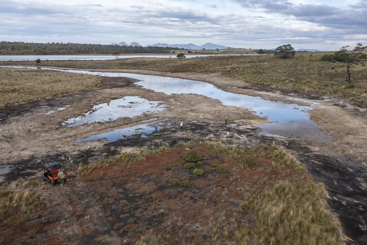 Tas_Land's tweet photo. In #March, multiple #excavators removed levees & drains at our Long Point Reserve, some built by #convicts in the 1880s, others as late as the 1990s.
In early May TLC planned out where the #reveg would happen.
Read the full story: https://t.co/kxpBtytHaX https://t.co/JvLQOZavYo
