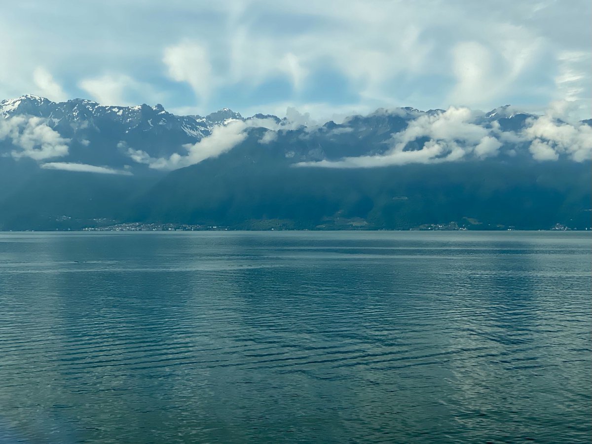 Marion Koopmans, publications: https://pure.eur.nl (@marionkoopmans) on Twitter photo 