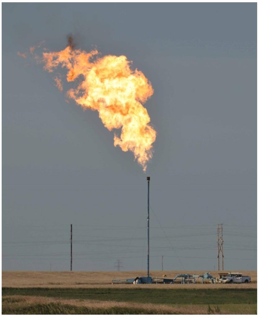 dennisluv's tweet photo. Environmental Genocide in Bayelsa: A call for urgent action:
#JusticeForBayelsa
#CleanYourMess
#BigOilMustPay
#MakePollutersPay
#EndFossilCrimes
#ShellMustPay
#CostOfOil
#AbsoluteSustainability
#BSOEC
#BayelsaNigeria
#OilOnYourHands
#EnvironmentalJustice https://t.co/kmi3eL85jD