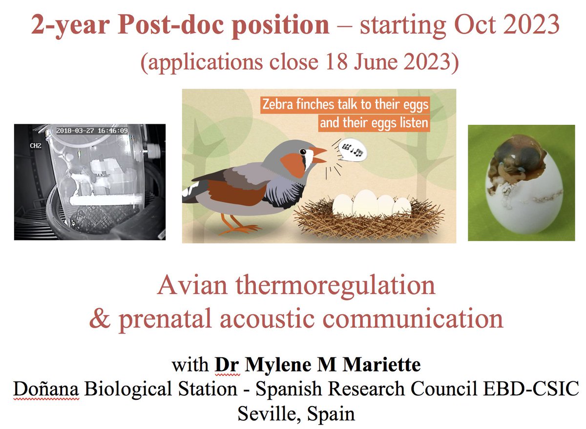 Mylene Mariette tweet media