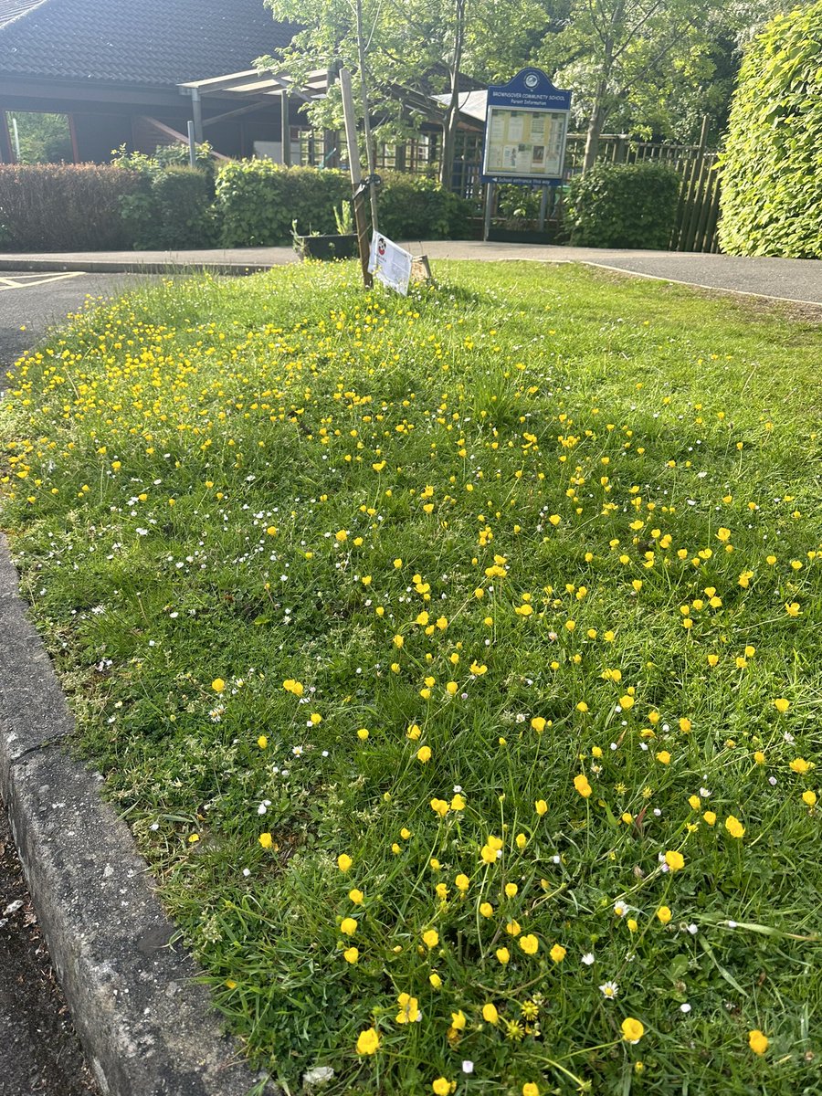 Brownsover Comm Sch tweet media