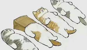 不想摆烂🤣🤣🤣🤣🤣就想躺平