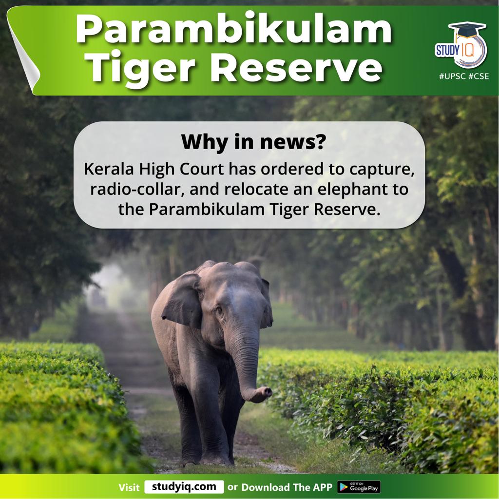 upsciq's tweet photo. Parambikulam Reserve
Tiger
#parambikulamtigerreserve #tigerreserve #anamalaihills #nelliampathyhills #prominentranges #karimalagopuram #perennialrivers #sholayar #thekkadyrivers #kadar #malasar #muduvar #tribes #westernghats #kerala #biodiversity #bengaltigers https://t.co/gZQi8BWvpJ