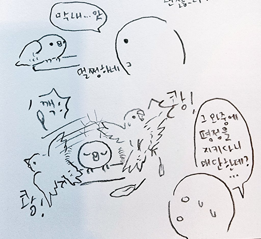 나이트플라이트