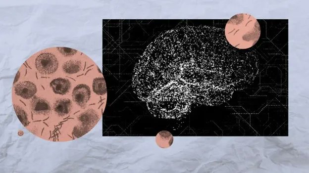 andhranewstoday's tweet photo. AI Tool Detects Parkinson’s up to 15 Years Early with 96% Accuracy:
https://t.co/x6cbPdXAKD https://t.co/5vUzitiBGH