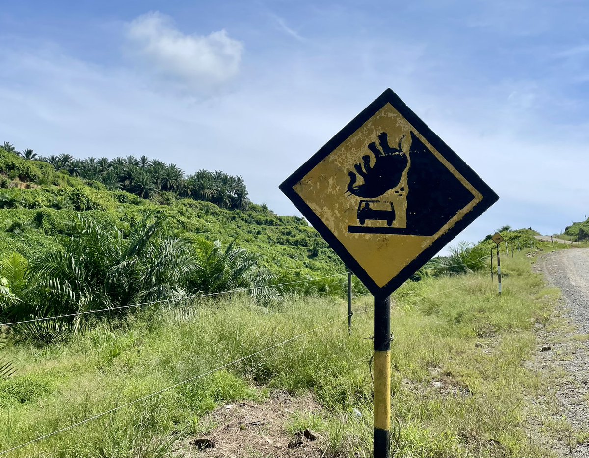 DeniFABRE's tweet photo. Monitoring climate change impact  in Borneo can exposed the researcher to unexpected danger on the road ;-) https://t.co/vfNT9xde4F