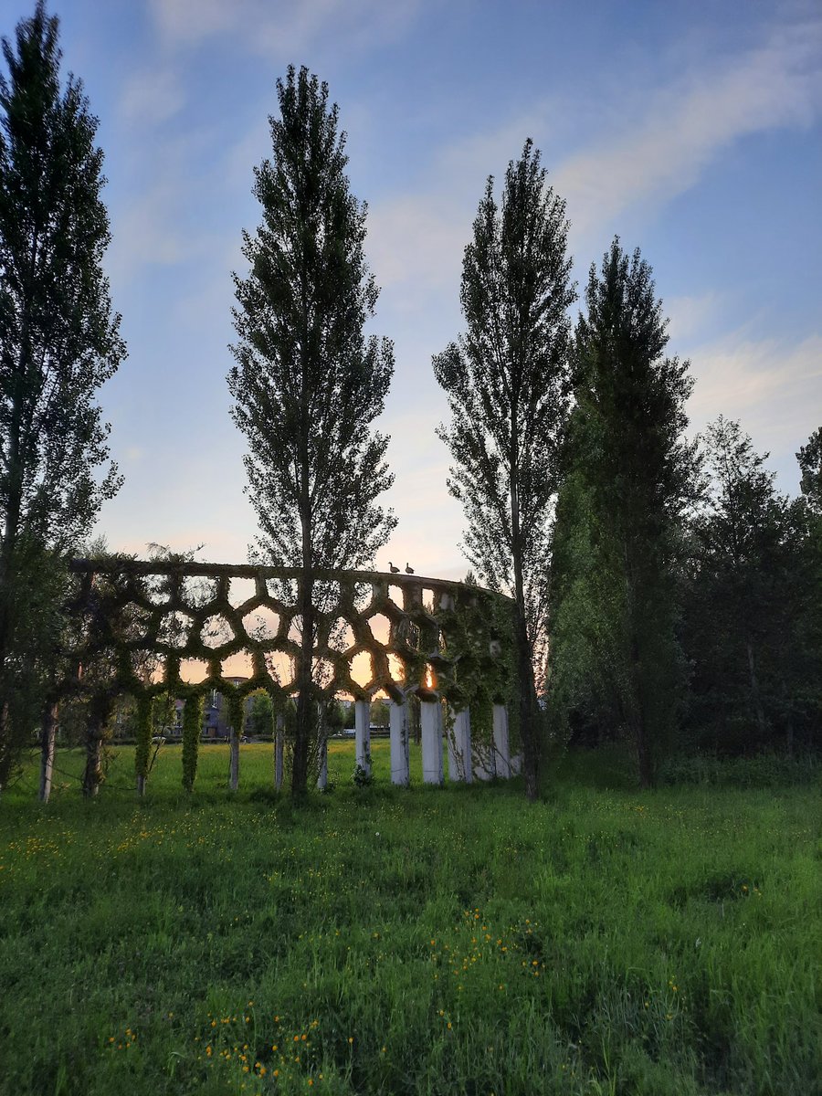 Dauwtrappen! #hemelvaartsdag #Maximapark #Utrecht