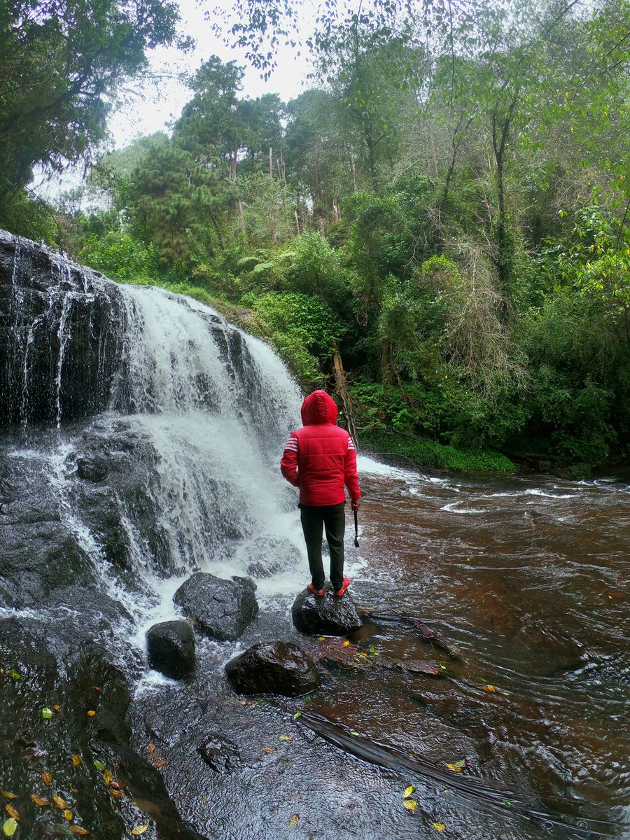 Photo of the day: Away from the city
.
Waterfall amid forest 
.
Shot on : @GoPro #GoPro #GoProFamily
.
#GoProTravel #PhotoOfTheDay #Kodaikanal #Tamilnadu #India #Tntourism #Anythingawesome #Hellofrom #Awayfromthecity #tourism #waterfall #Tbt #Throwback