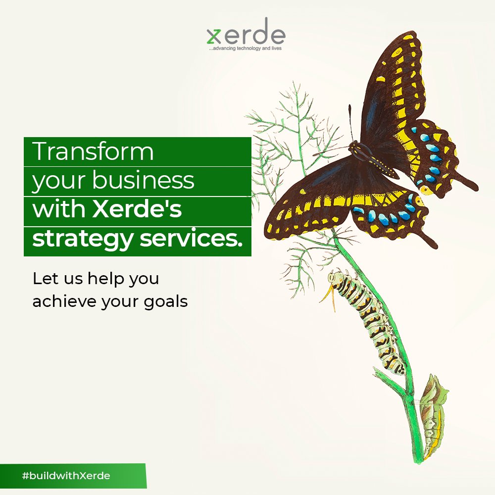 Xerde Limited tweet media