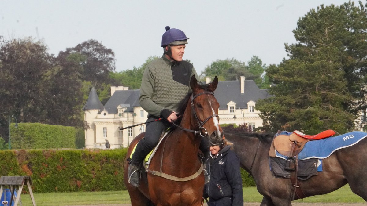 Shark Hanlon Racing tweet media